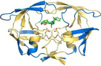 File:Structural changes in PRdrv5 mutant.jpg