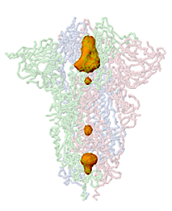 File:Jmol-cavities-6zgi.png