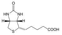 File:Biotin structure.png