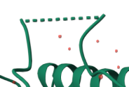 File:2ace-molstar-missing-loop.png