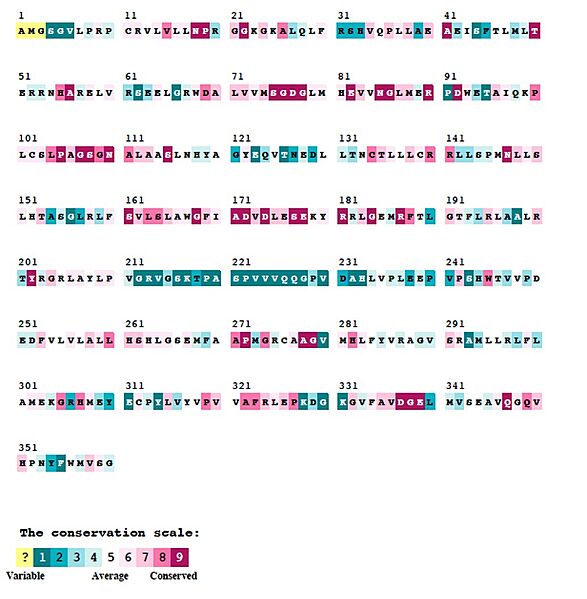 File:SphK1 sequence conservation Large.jpeg
