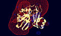 Thumbnail for version as of 00:31, 18 February 2010