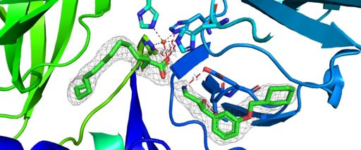 Figure 1B: Emixustat and palmitate ester in Binding Pocket