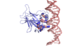 Thumbnail for version as of 06:33, 9 December 2008