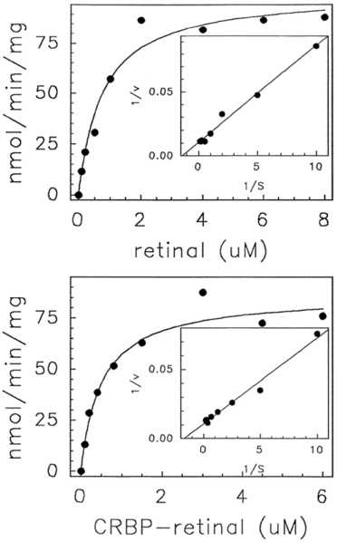 File:Retinal mm plot.png