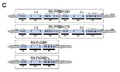 Thumbnail for version as of 08:11, 15 November 2012