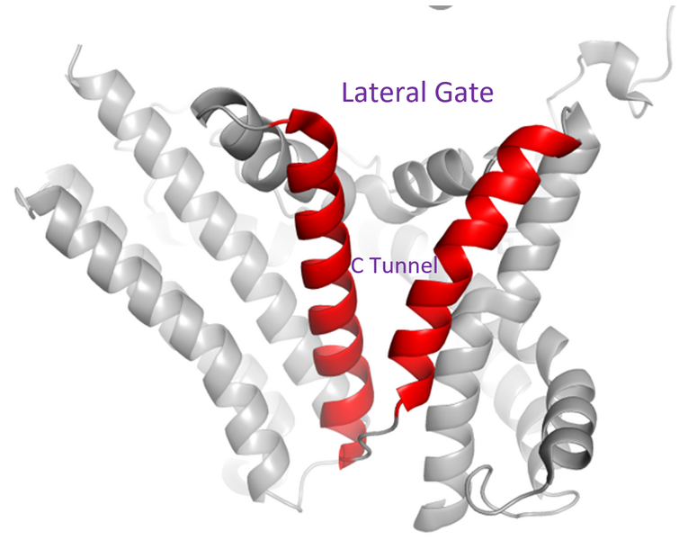 File:Image 5.PNG