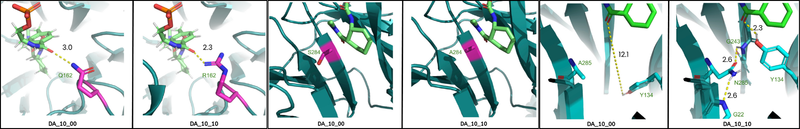File:KeyMutations.png
