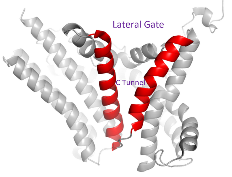 File:Image 4.PNG