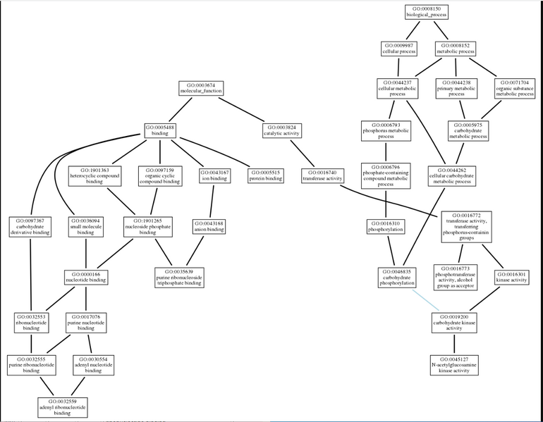 File:NetGo.png