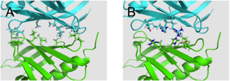 File:Dimer interface.png