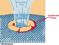 Thumbnail for version as of 14:11, 14 August 2012