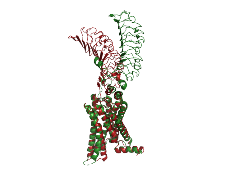 File:Image-Inactive Inactive Proteopedia.png