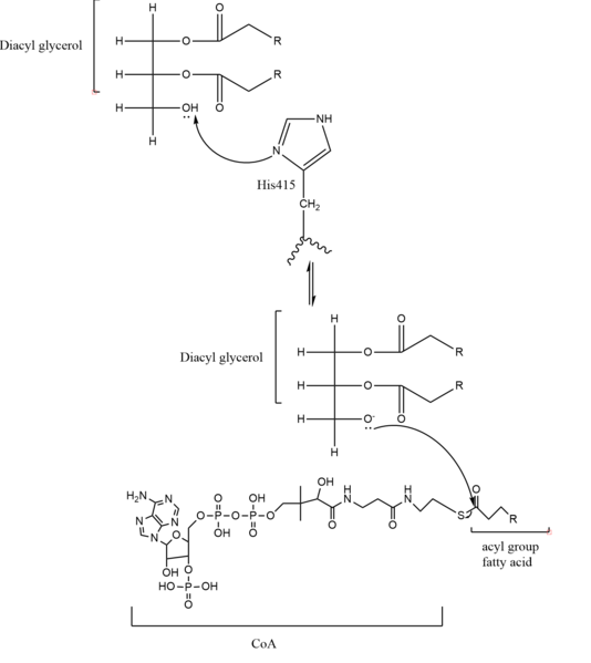File:Image 2.PNG
