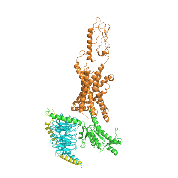 File:GIP-R.png