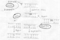 Thumbnail for version as of 16:57, 27 April 2010