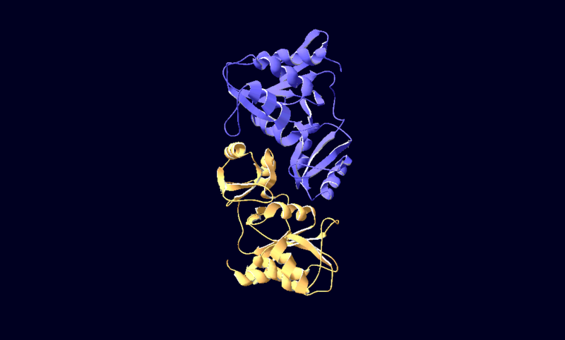 File:Rpi.png