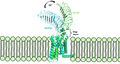 Thumbnail for version as of 22:47, 13 April 2023