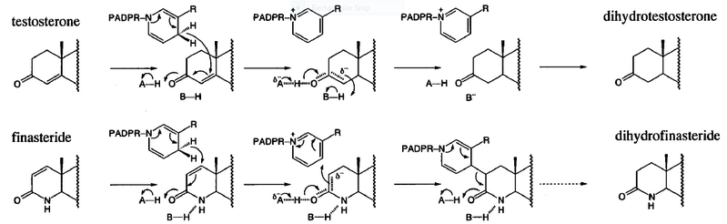 File:Biochem group project.PNG