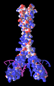 Image:5t01-epm-protein.png