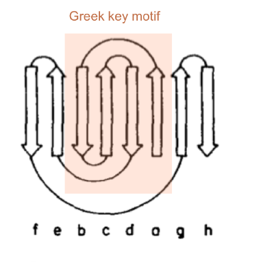 Image: prealbumin_topology_greek_key1.png