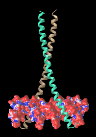 Image:5t01-epm-dna.png