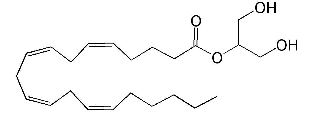 Эндорфины 2. Арахидоноил. Эндорфины. Эндоканнабиноиды. Осельтамивира карбоксилат формула.