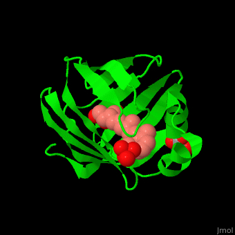 protein - Proteopedia, life 3D