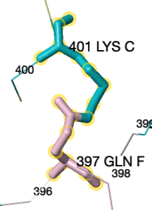 Image:1n73-isopeptide-conservation.png