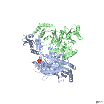 Reverse transcriptase - Proteopedia, life in 3D
