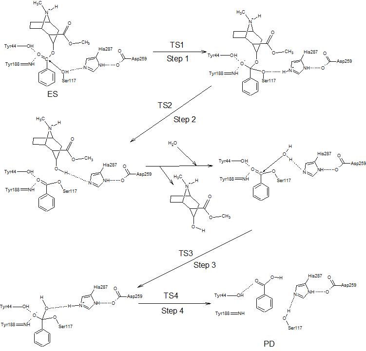 Image:Cocaine_esterase_mechanism.jpg