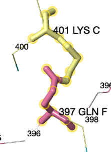 Image:1n73-isopeptide-conservation-yellow.png