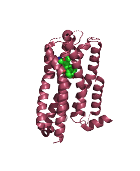 Image:5HT2A binding depth.png