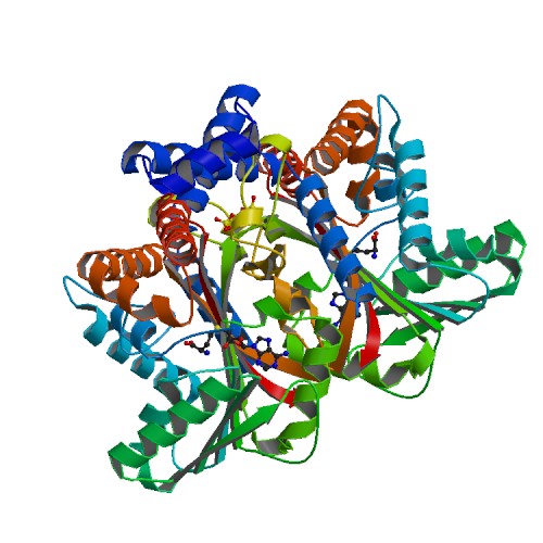 Image:6p3m.pdb1-500.jpg