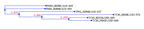 Image:Phylogenetic_tree_BH4_H.gif