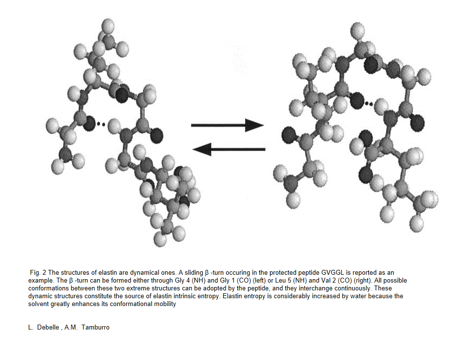 Image:B-turn.gif