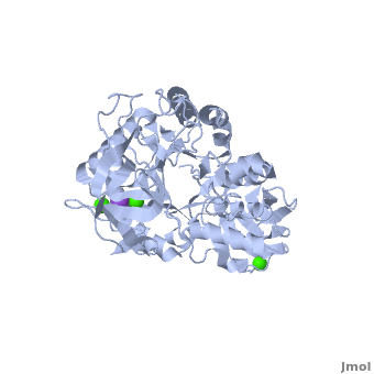 Amylase - Proteopedia, life in 3D
