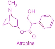 Structure of Atropine