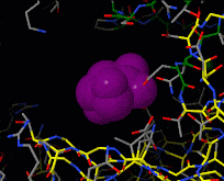 Morph of hexokinase in the open 3o80 and glucose-bound closed 3o8m conformation. For reference, glucose (purple) is shown throughout the morph. Two views are shown, an overview as spacefill and a detail of the binding site in wireframe.
