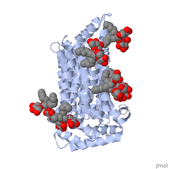 glucose transporter structure