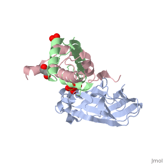 Vecteur Stock Biological structure of Nucleosome with histone protein, core  DNA and Linked DNA chain inside cell