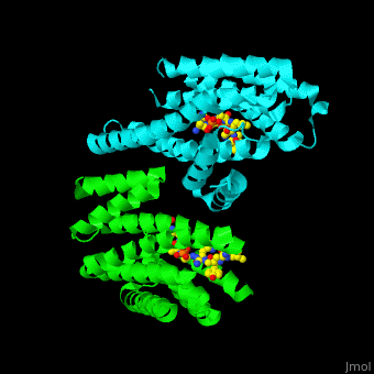 Protein Structure Gif
