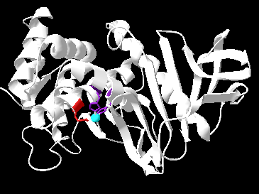 Image:Thermolysin_active_site_AB.png