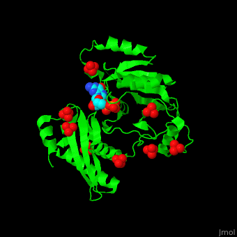 Gtp Binding Protein Proteopedia Life In 3d