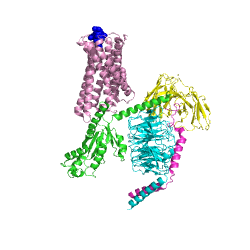 Figure 1.  The coolest image of this protein EVAH!!!