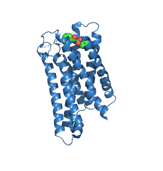 Image:MX2 binding depth.png