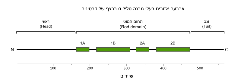 Image:Keratin-secondary-structure.png