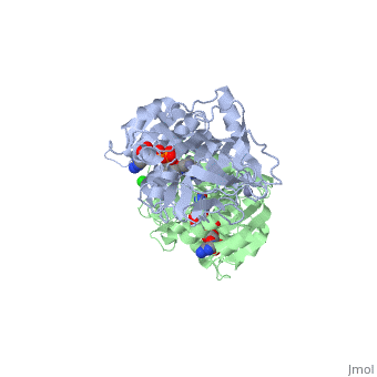 Alcohol dehydrogenase - Proteopedia, life in 3D