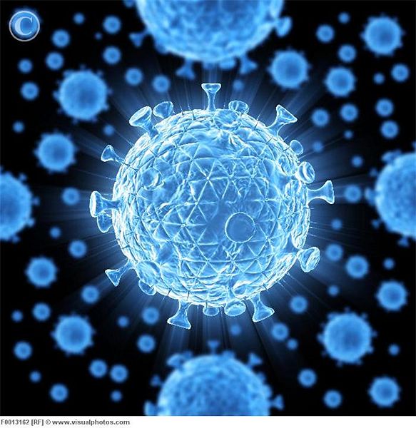 Image:HIV virus particle.jpg