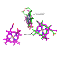 Figure 6. Heme arrangements for the organisms G. thermodenitrificans and E. coli. Heme D shown in green; Heme B595 and Heme B558 shown in pink